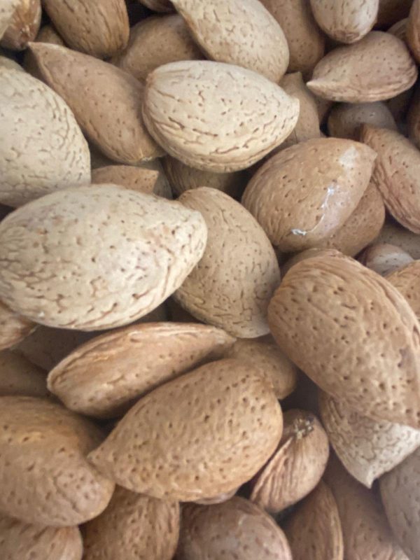 Aşısız Kabuklu Badem 10Kg
