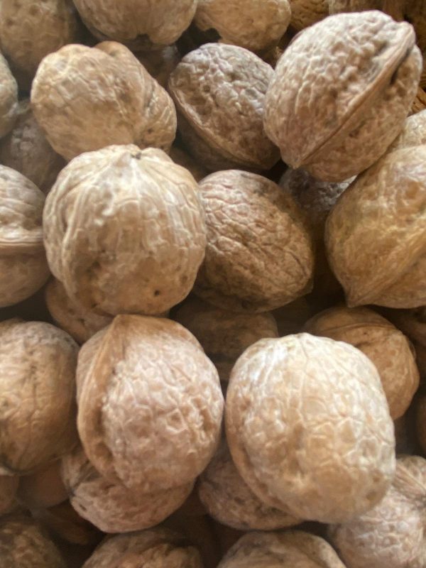 Aşısız Doğal Kabuklu Ceviz 10Kg
